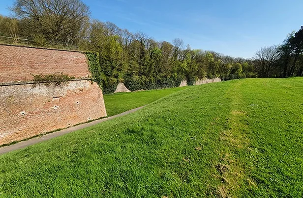 owl bastion