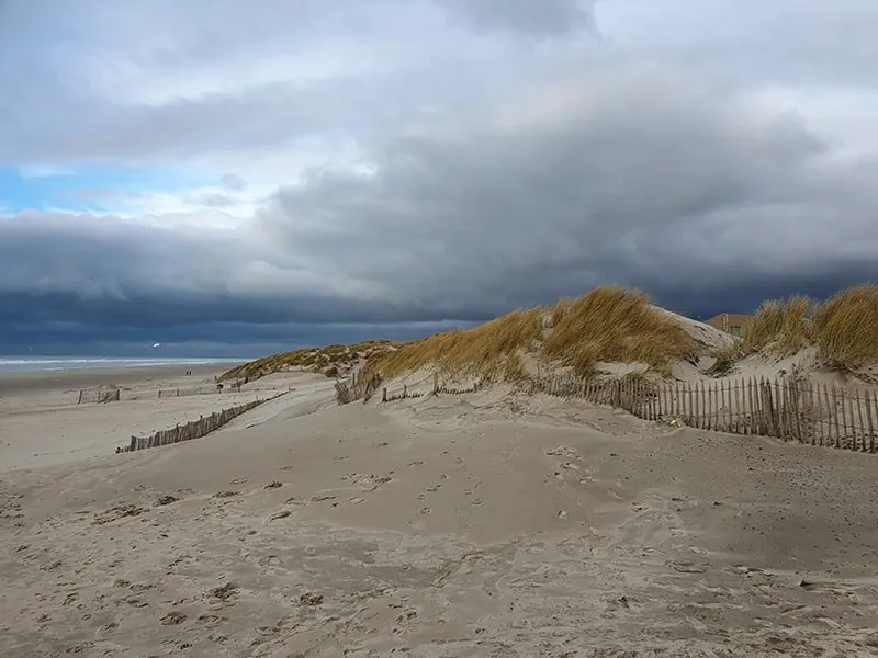 DUNE IN WINTER