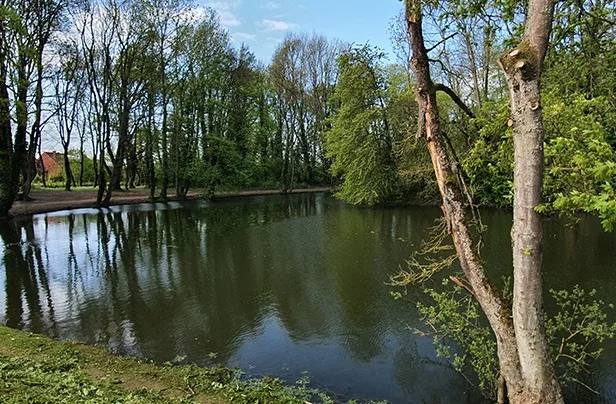 the polygon in arras