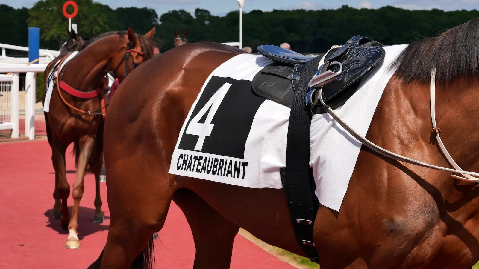 l'histoire de l'hippodrome d'Arras