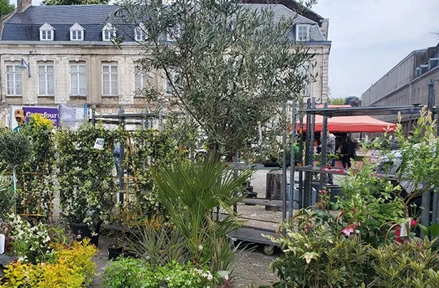 May 1st flower market