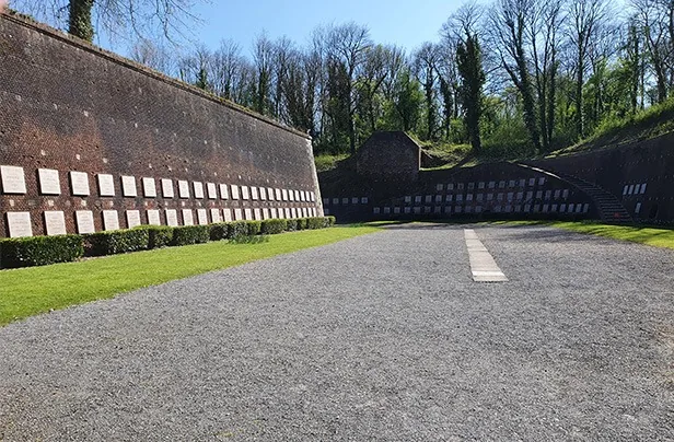 rifle wall