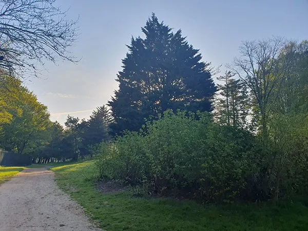 take a walk through the large meadows