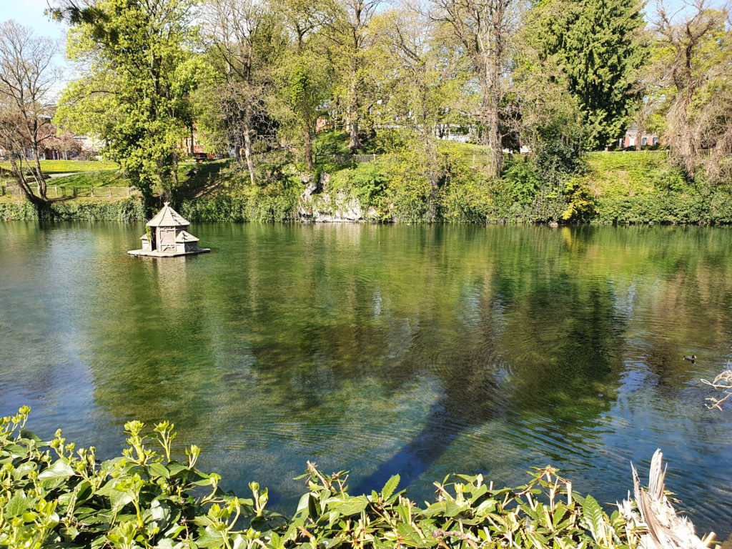 étendue d'eau jardin minelle