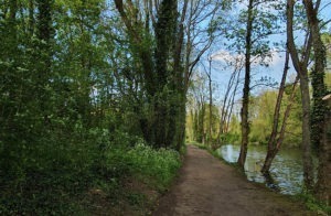 Les parcs et jardins d’Arras pour se promener