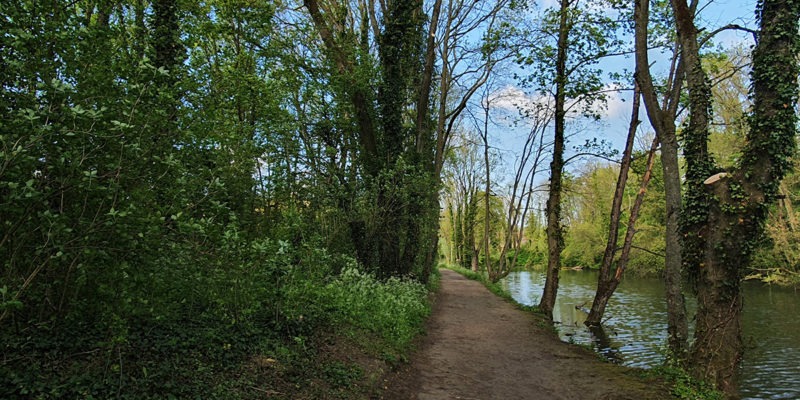 Parcs & jardins d'Arras → Lieux de promenade