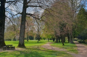 Le Jardin du Gouverneur : un havre de paix au cœur d’Arras