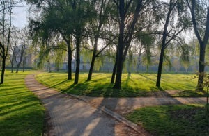 Les Grandes Prairies d’Arras : havre de verdure entre Arras et Sainte-Catherine