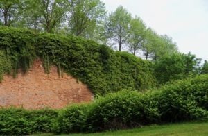 Visiter la citadelle de Doullens dans la Somme