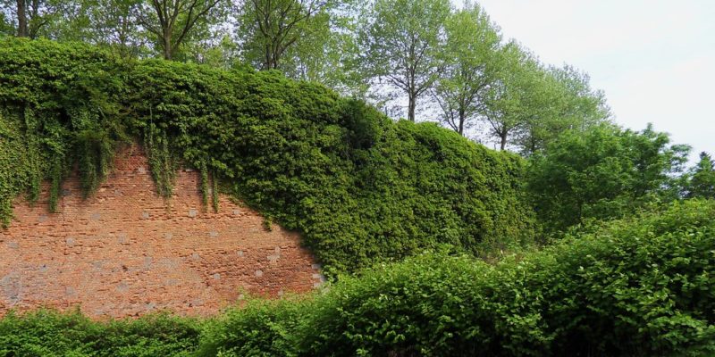 citadelle de Doullens